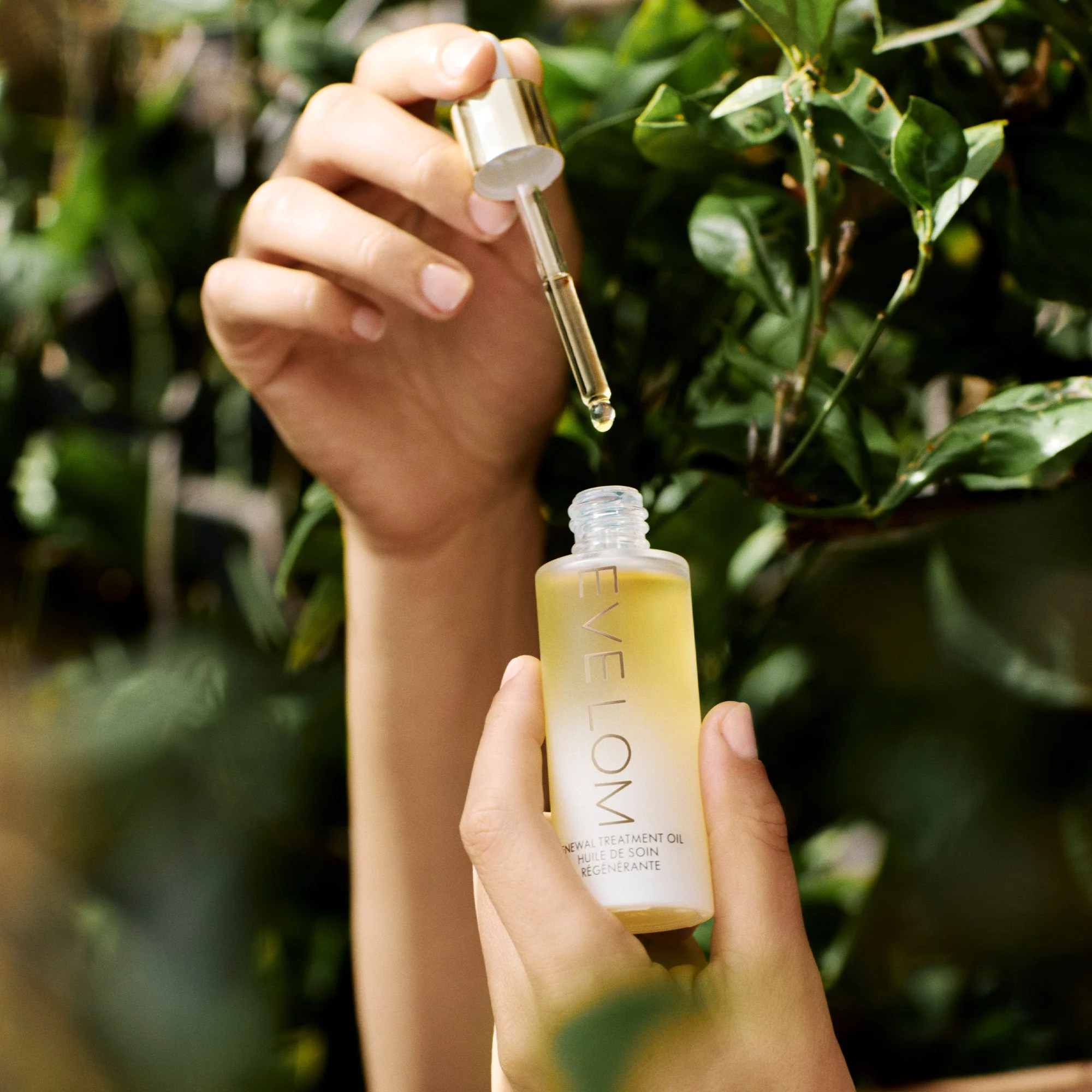 Renewal Treatment Oil - Image 5